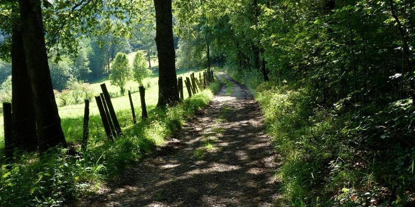 Le Val Du Vieux Chene Chambre D'Hotes Walcourt Kültér fotó